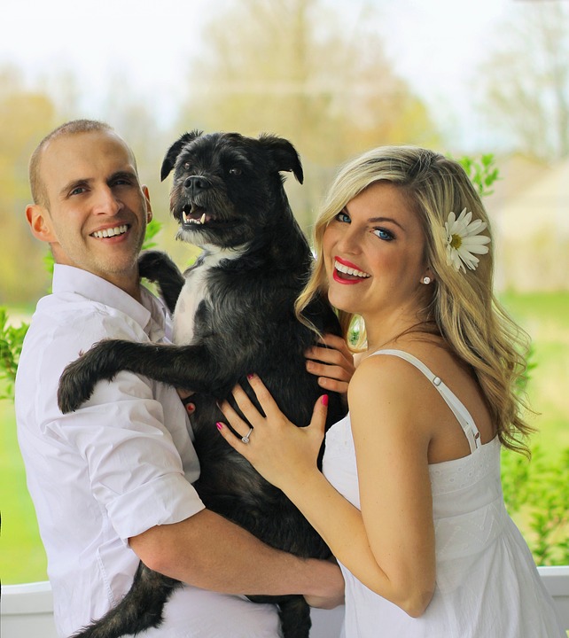 How to keep your dog calm around visitors